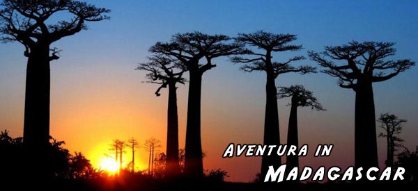 Madagascar_cover Madagascar_cover